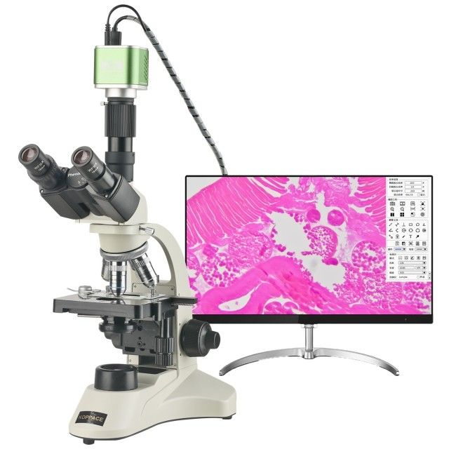 KP-PH5609 309X-7740X三目生物实验室电子显微镜图片
