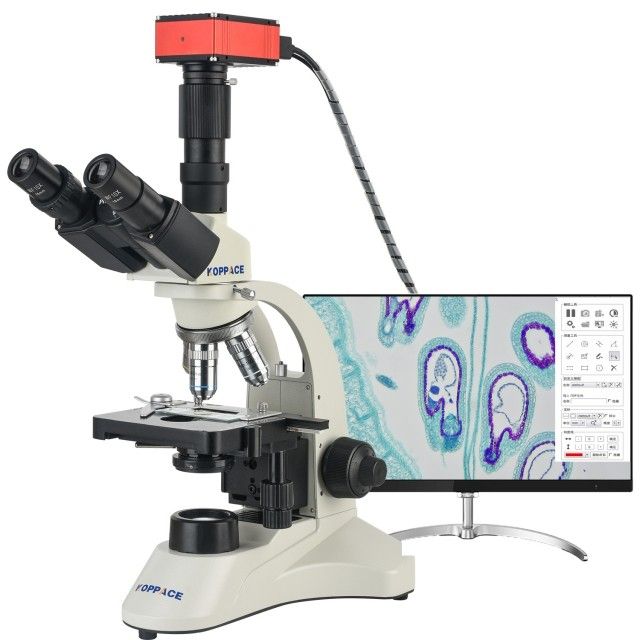 KP-PH504K 40X-1600X电子生物显微镜图片
