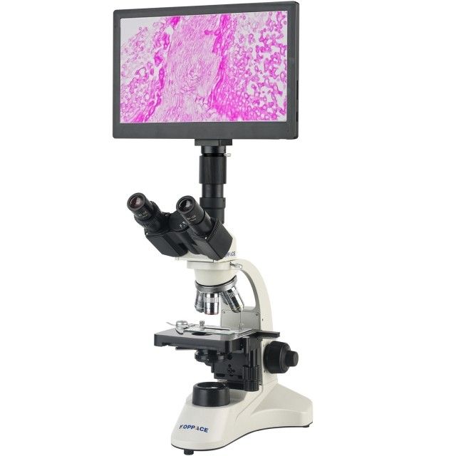 KP-PH5016 40X-1600X电子生物实验室显微镜图片