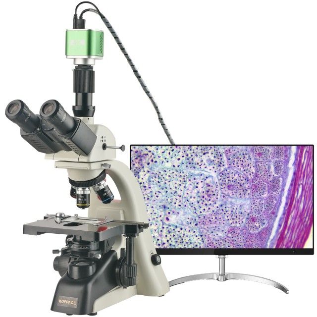 KP-PH400 308X-7705X三目生物实验室显微镜图片