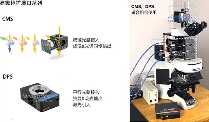 DPS，开拓显微光谱世界图片